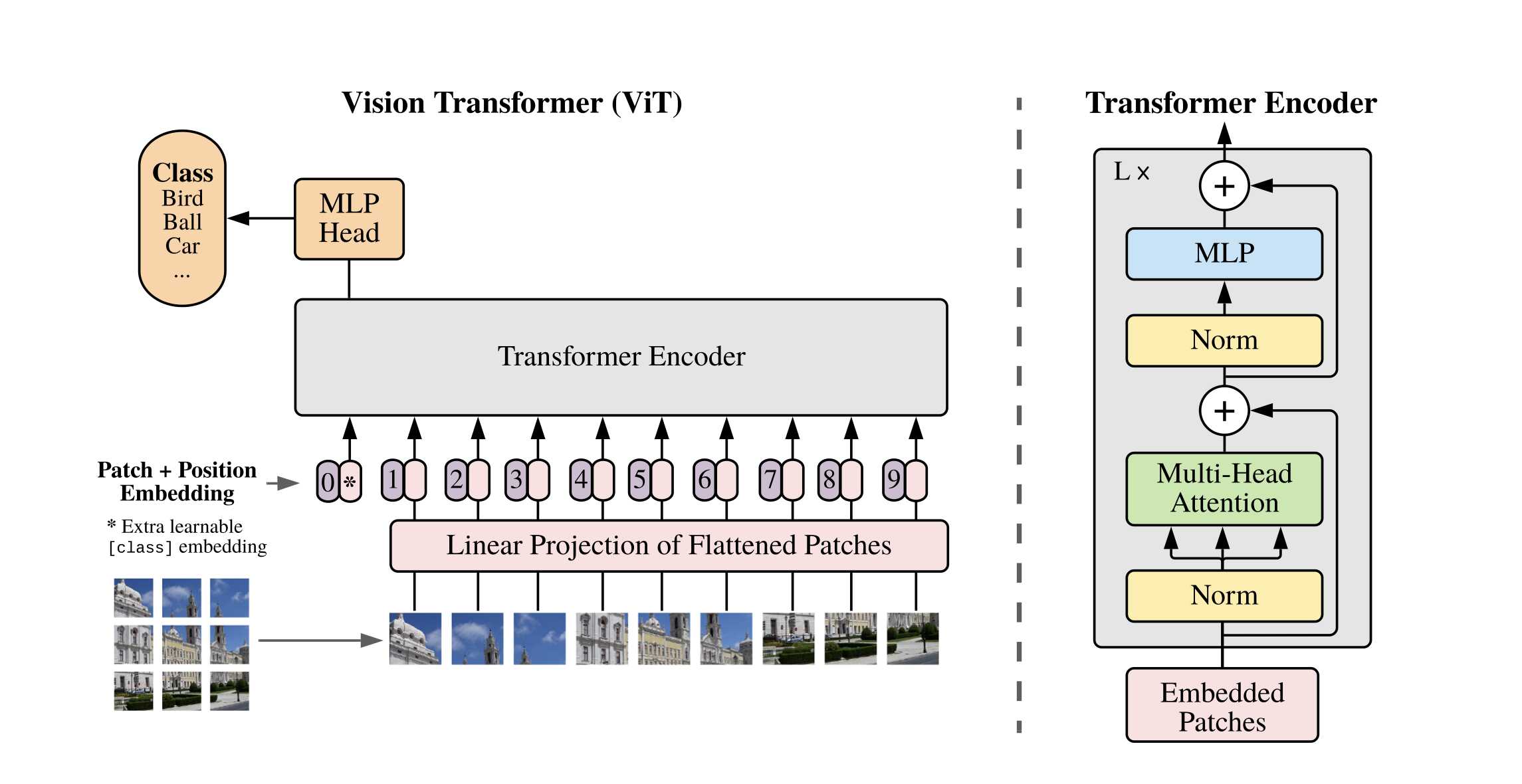 High-Level Architecture of ViT